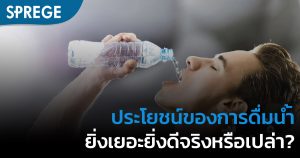 ประโยชน์ของการดื่มน้ำ ยิ่งเยอะยิ่งดีจริงหรือเปล่า