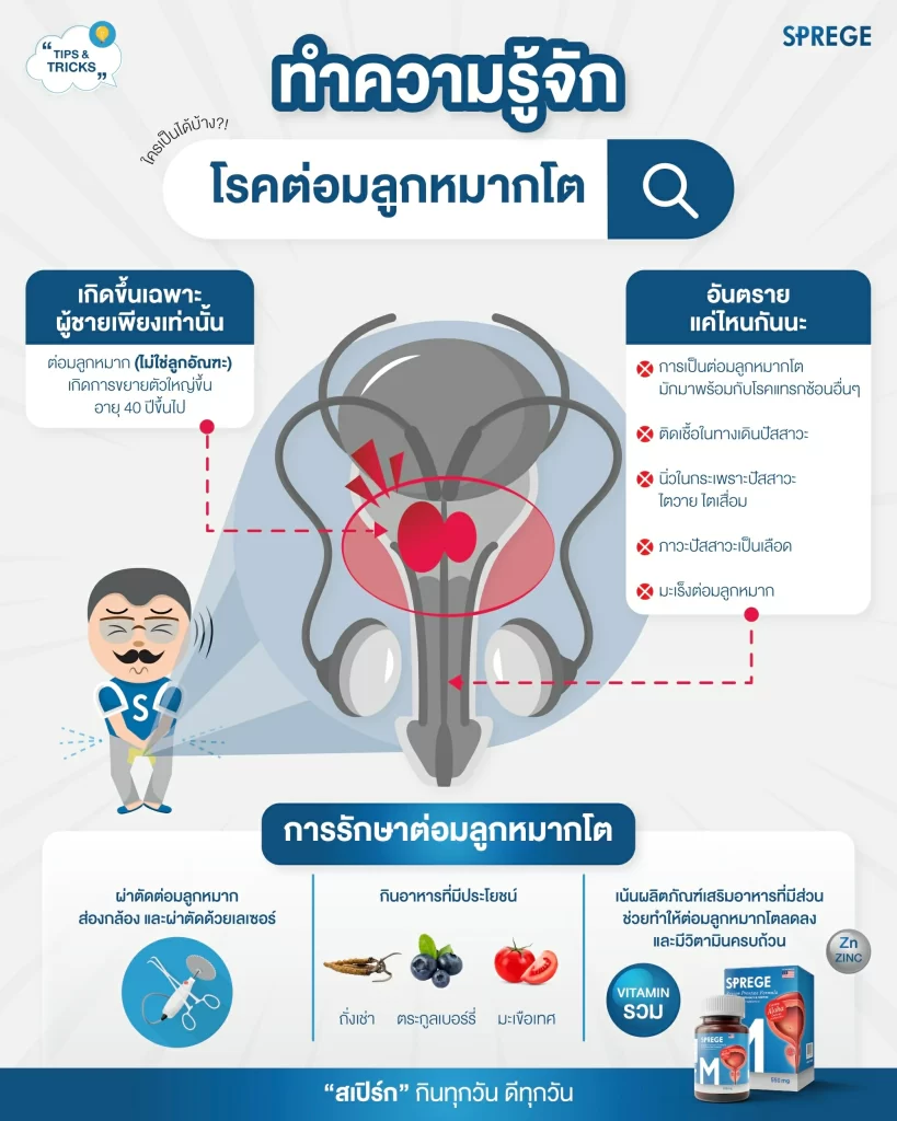 สรุป ต่อมลูกหมากโต คืออะไร