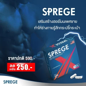 อาหารเสริมผู้ชาย SpregeX