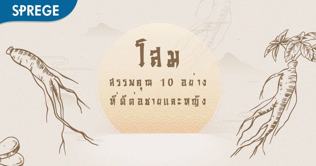 โสม สรรพคุณ 10 อย่าง ที่ดีต่อทั้งผู้ชายและผู้หญิง