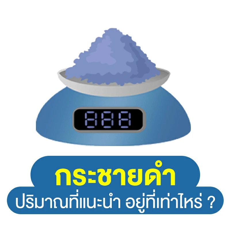 กระชายดำ ปริมาณที่แนะนำอยู่ที่เท่าไหร่