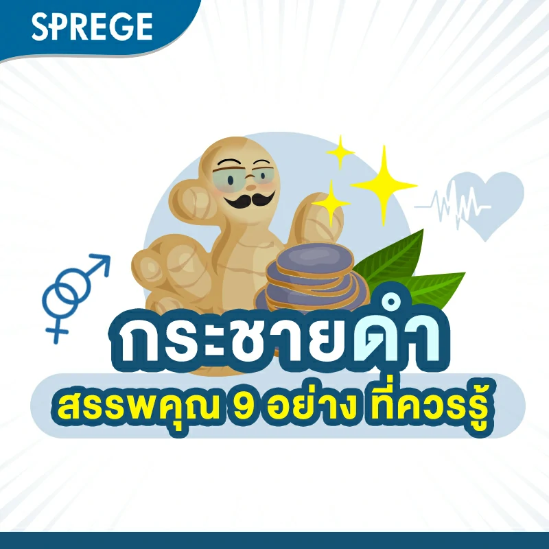 กระชายดํา สรรพคุณ 9 อย่าง ที่คุณผู้ชายควรรู้