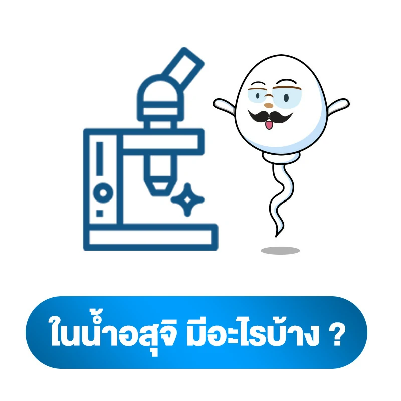 คำถามกับการกินน้ำอสุจิ เป็นอะไรไหม 1.ในน้ำอสุจิ มีอะไรบ้าง