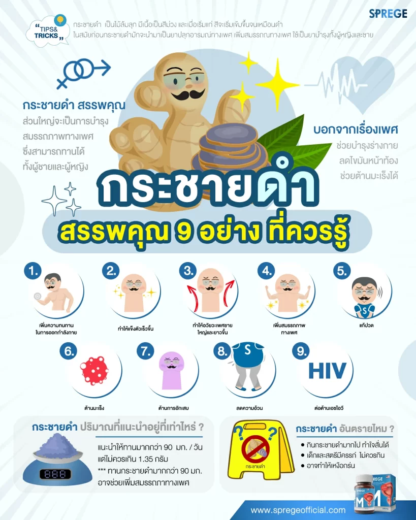 สรุป กระชายดํา สรรพคุณ 9 อย่าง ที่คุณผู้ชายควรรู้ (อาจทำให้…ใหญ่ขึ้น)