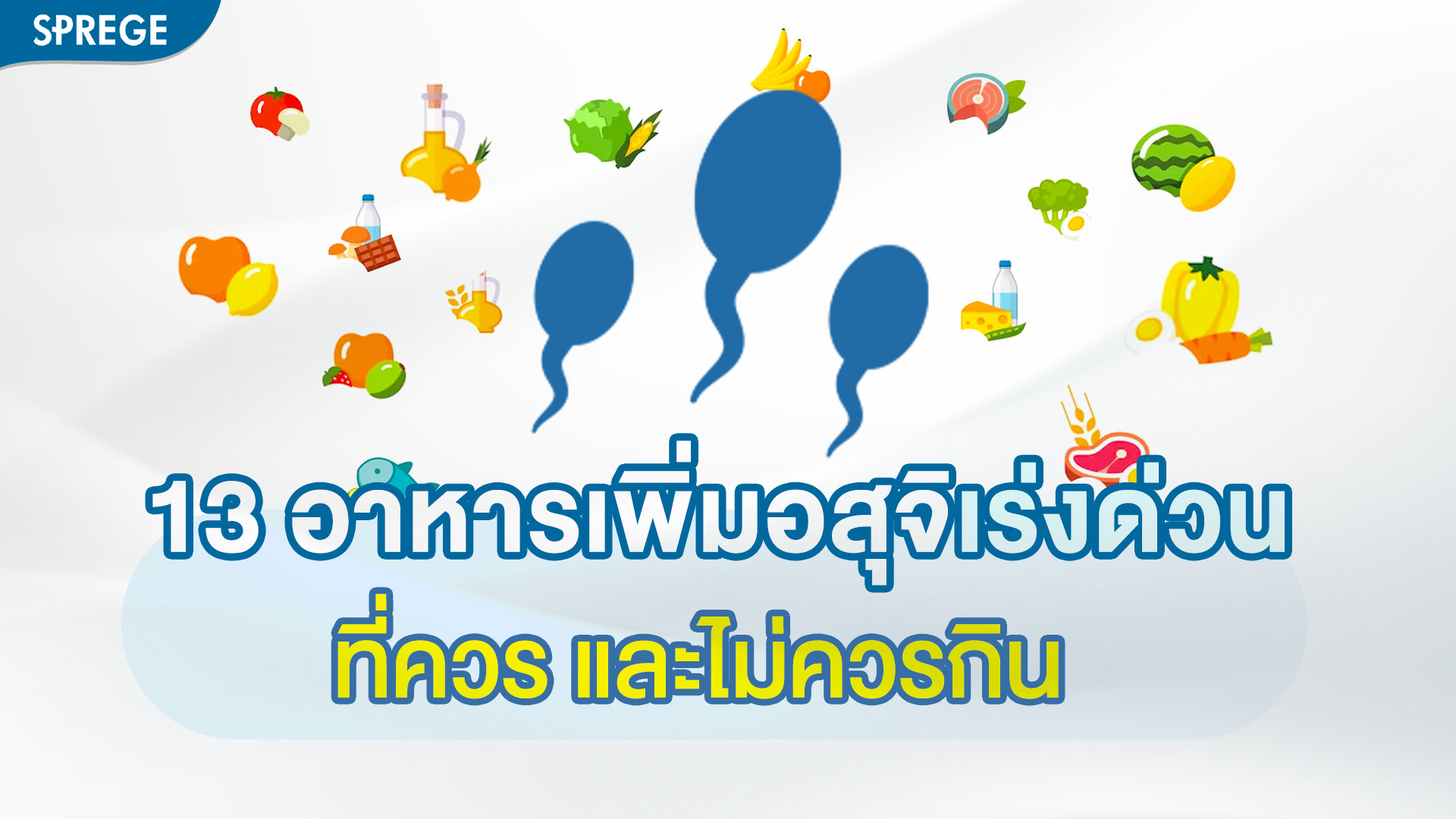13 อาหารเพิ่มอสุจิ เร่งด่วน ที่ควร และไม่ควรกิน