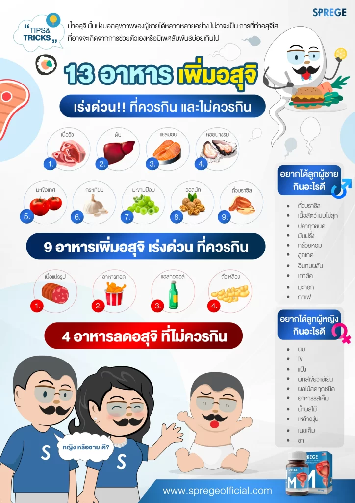 สรุป 13 อาหารเพิ่มอสุจิ เร่งด่วน ที่ควร และไม่ควรกิน