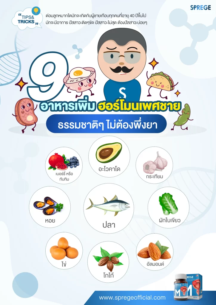 สรุป 9 อาหารเพิ่ม ฮอร์โมนเพศชาย ธรรมชาติๆ ไม่ต้องพึ่งยา