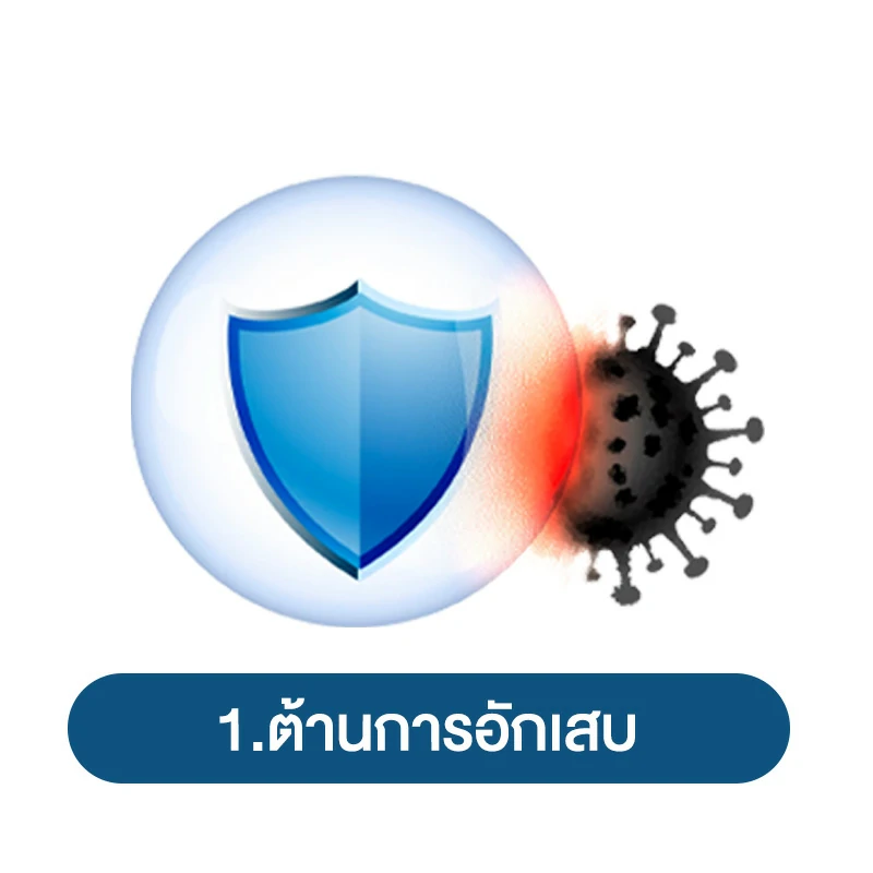 สรรพคุณ ถั่งเช่า ต่อผู้ชาย 1.ต้านการอักเสบ