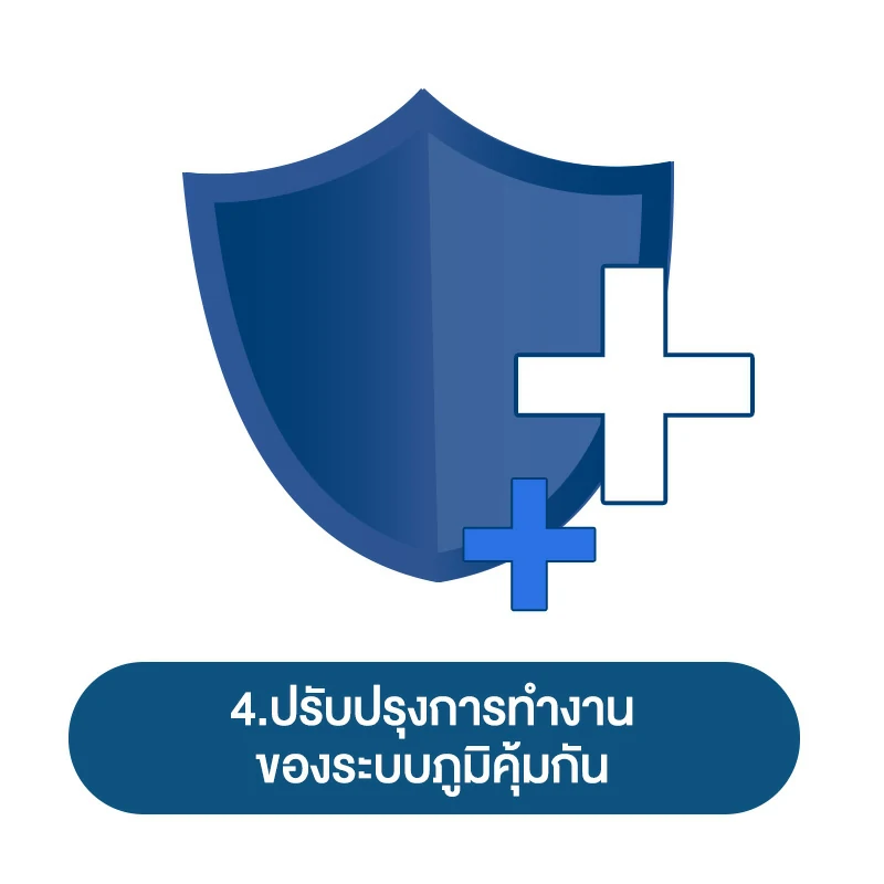 สรรพคุณ ถั่งเช่า ต่อผู้ชาย 4.ปรับปรุงการทำงานของระบบภูมิคุ้มกัน