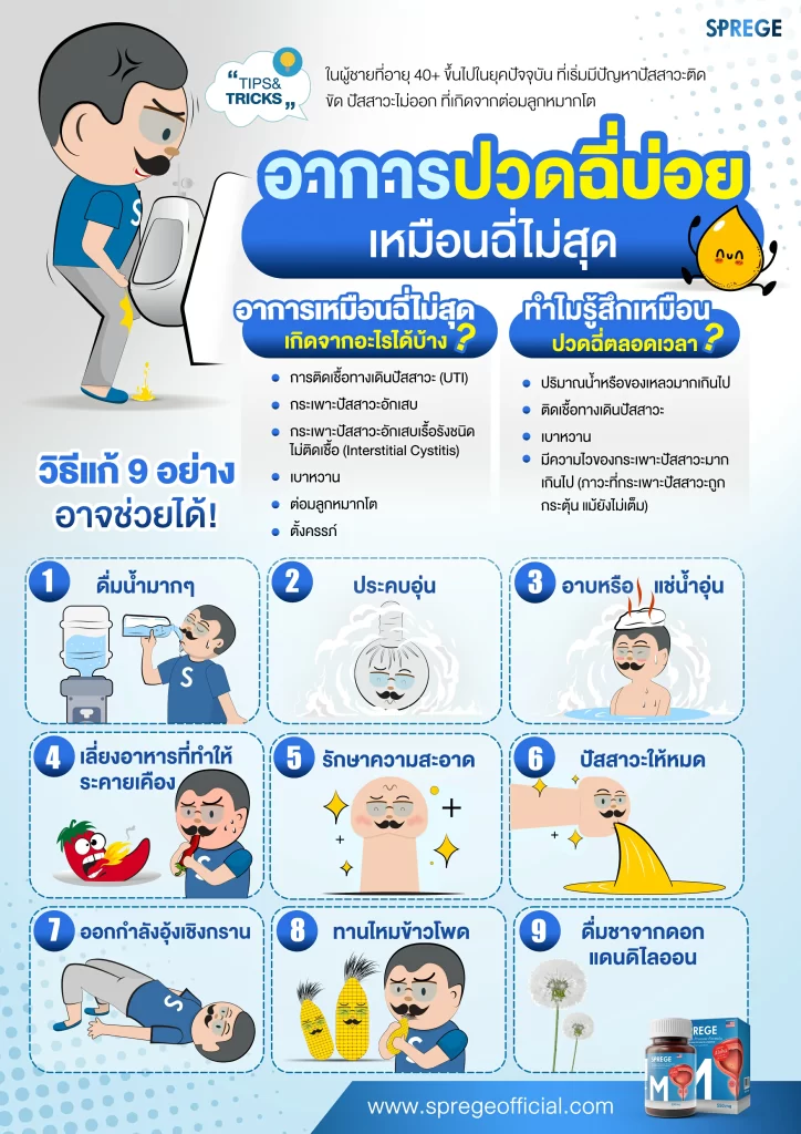 สรุป อาการปวดฉี่บ่อย เหมือนฉี่ไม่สุด วิธีแก้ 9 อย่าง อาจช่วยได้!