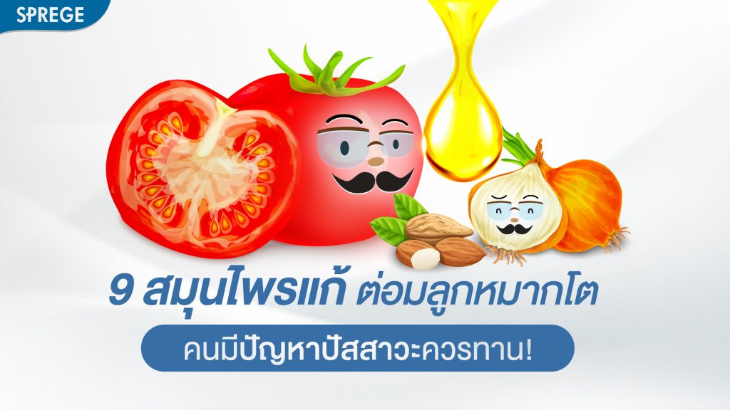 9 สมุนไพรแก้ ต่อมลูกหมากโต คนมีปัญหาปัสสาวะควรทาน!