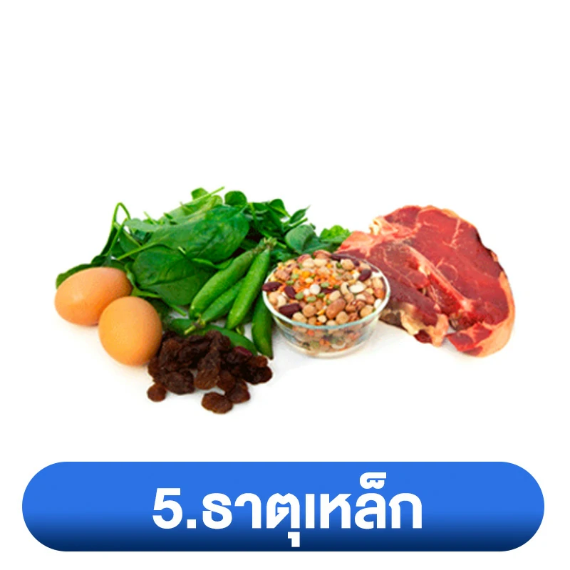 zinc ห้ามกินกับอะไร 5.ธาตุเหล็ก