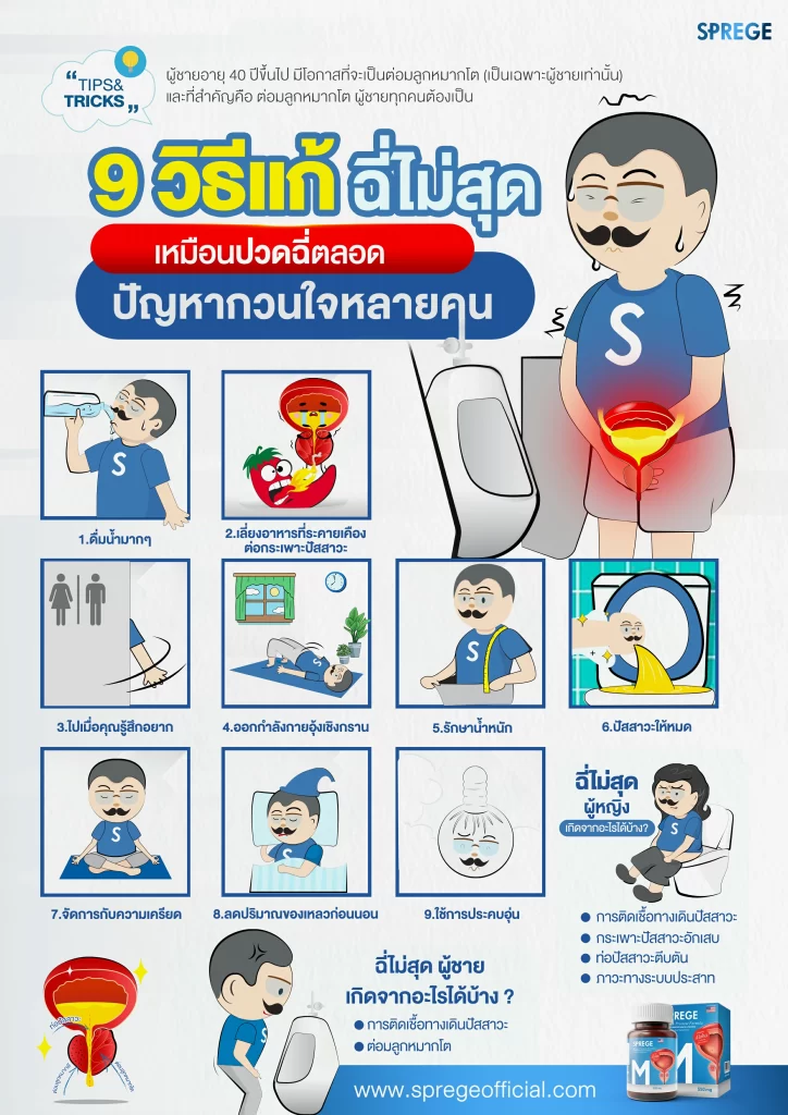 สรุป 9 วิธีแก้ ฉี่ไม่สุด เหมือนปวดฉี่ตลอด ปัญหากวนใจหลายคน