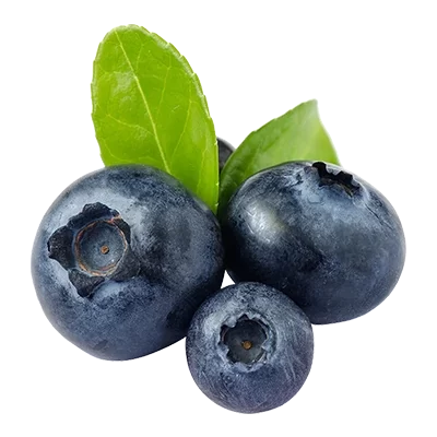 Blueberry-1